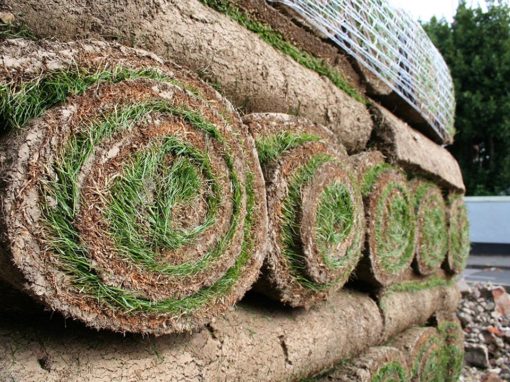 Sod Landscaping Services