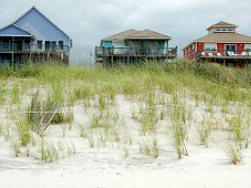 Outer Banks Beach Grass Service